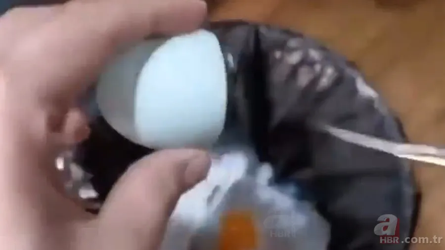 İşte civcivin yumurta içindeki gelişimi 🐣 İğne ile enjekte etti gün gün görüntüledi 🥚 8