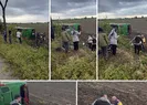 Çanakkalede yolcu otobüsü şarampole devrildi