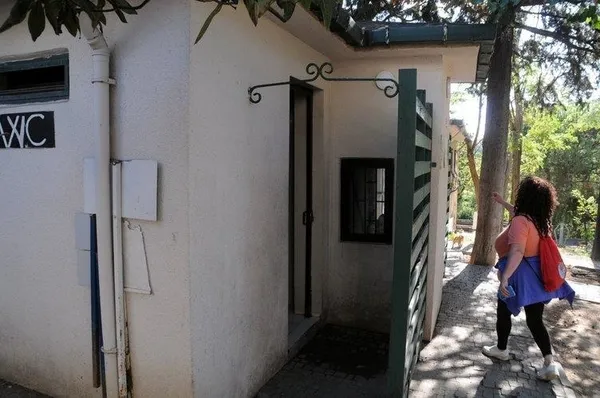 CHP’li Beşiktaş Belediyesi Abbasağa’da ağaç kıyımına devam ediyor!