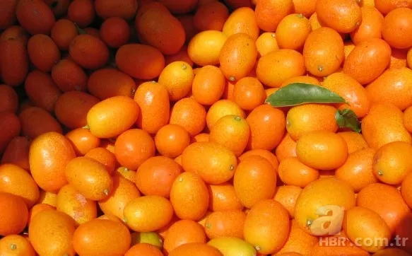 Ne mandalina ne portakal! Kabuğuyla yenen "küçük mücevher" resmen şifa bombası: Kansere dahi iyi geliyor 2