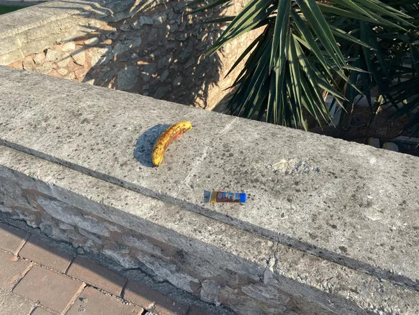 1694595104615.jpg Şehitlerimizin kemiklerini sızlatan görüntü! İBB kaderine terk etti: Çöplüğe döndü - 4