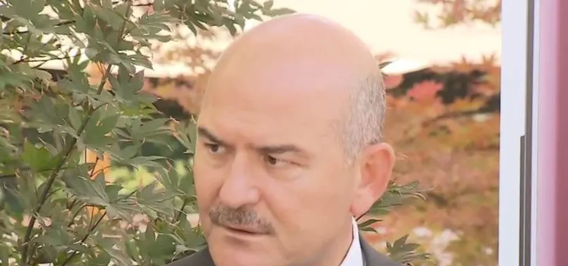 Son dakika | Thodex'in kurucusu Fatih Özer Türkiye'ye ne zaman iade edilecek? Bakan Soylu'dan önemli açıklamalar