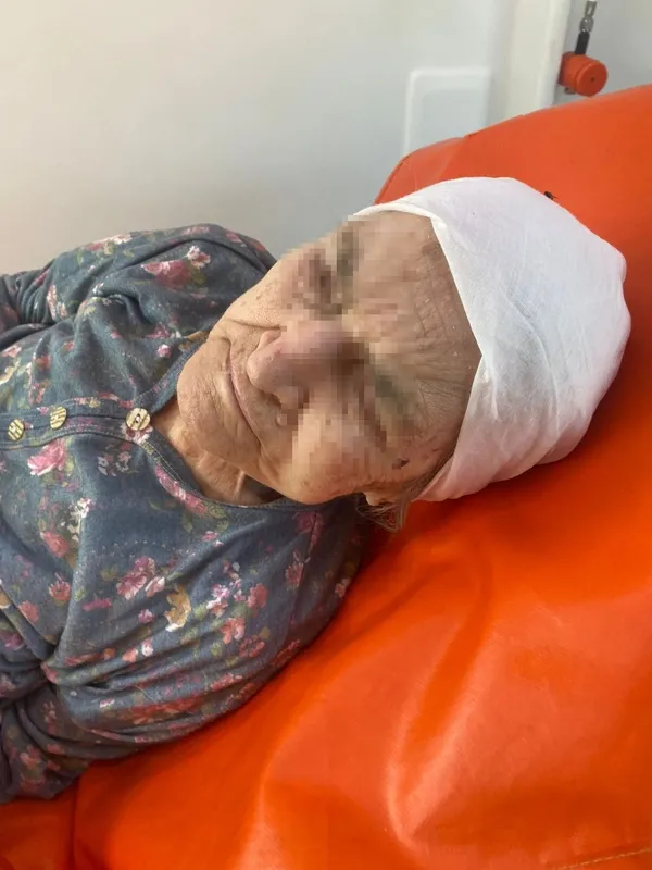 bursada-madde-bagimlisi-gencin-yaptiklari-aileyi-isyan-ettirdi-85-yasindaki-anneannesini-ve-kiz-kardesini-darb-1662799179443.jpg Bursa’da madde bağımlısı gencin yaptıkları aileyi isyan ettirdi! 85 yaşındaki anneannesini ve kız kardeşini darbetti - 2