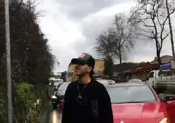 Sarıyer'de domuz sürüsü korkuttu
