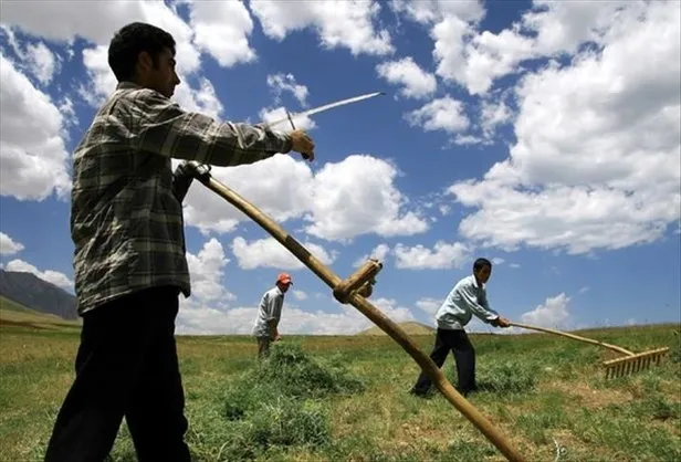 Kuraklık desteği ne zaman ödenecek, verilecek? Kasım - Aralık kuraklık desteği ayın kaçında yatar 2021? İşte detaylar... - 3