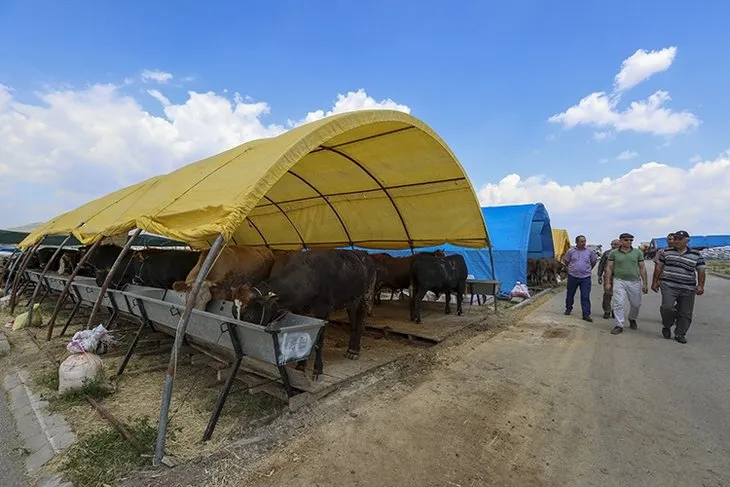 Kurban arefesi yarın mı? 2022 Kurban Bayramı arefesi ne zaman? Bayram arefesi hangi gün? Diyanet takvimi