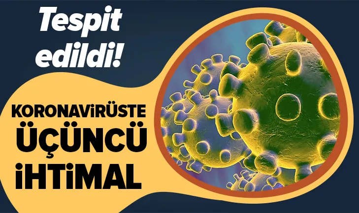 Tespit edildi! Koronavirüste üçüncü ihtimal...