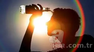 El Nino tehlikesi büyüyor: 1 derece artış bile öldürebilir 3