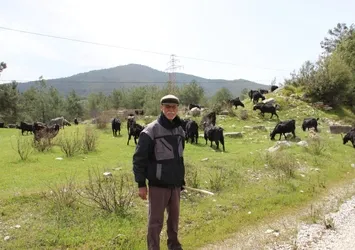 Gençler bu mesleği seçmiyor! Çobanlar şikayetçi oldu: Parası çok hanımı yok