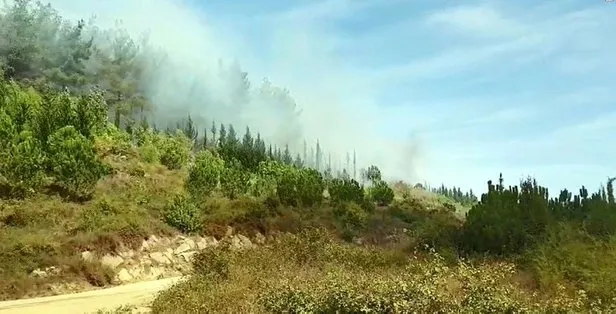 Son dakika: Kahramanmaraş'ta orman yangını! Vali Coşkun'dan flaş açıklama - 3