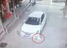 Köpekleri ezdi ardına bile bakmadı!