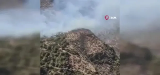 Aydın'da zeytinlik yangını panik yarattı