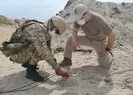 TSK’dan Libya Deniz Kuvvetleri’ne eğitim