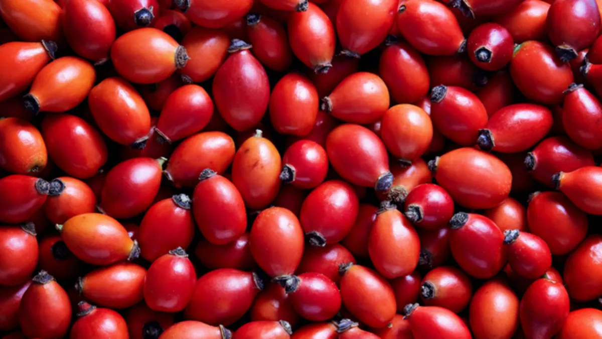 Faydalarını duyunca bardak bardak içeceksiniz! Kilo vermeyi hızlandırıyor...