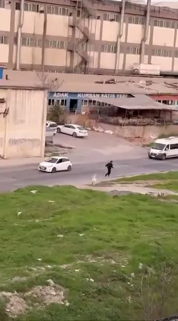 Görüntüler İstanbul'dan! Keçi öğrencileri böyle kovaladı - 1