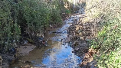 İzmir Büyükşehir’den Körfez’e çamur!