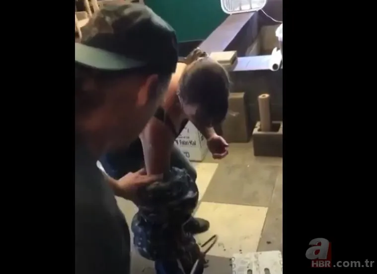 Her şey bir anda oldu! Dev piton yılanı bakıcısına böyle saldırdı 13