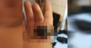 Evinden çıktı! Dünyanın en güçlüsü