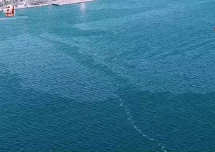 İzmir Körfezi’nde çevre kirliliği