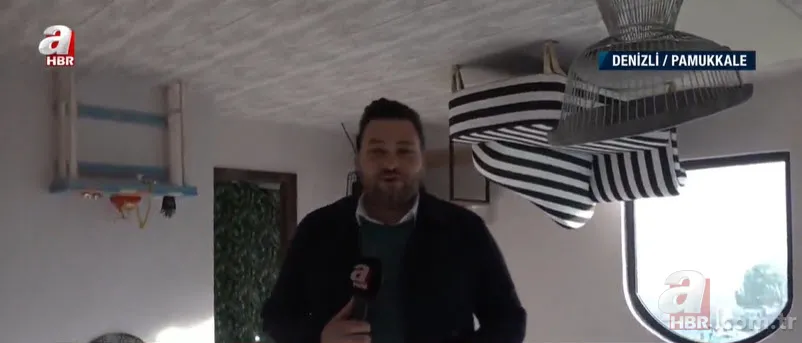 Bu villada terslik var! Fotoğraf çektirmek için sıraya giriyorlar 5