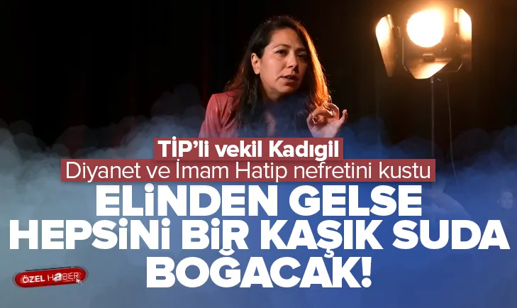 Kadıgilden Diyanet ve İmam Hatip okullarına alçak sözler!