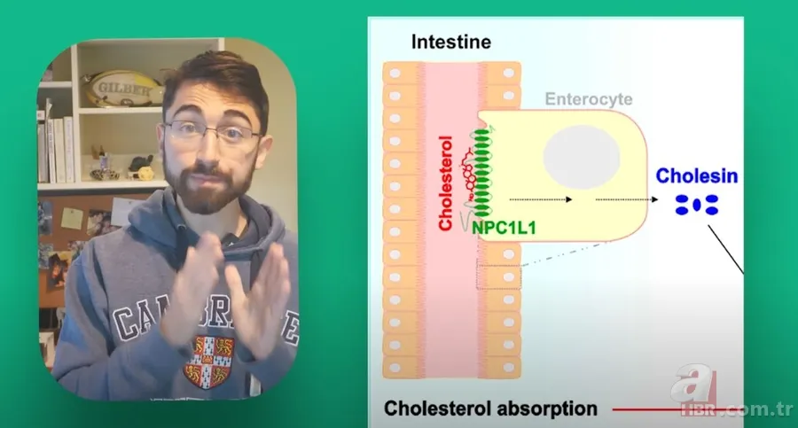 Bir ayda 700 yumurta yedi, kolestrolü düştü! Harvard öğrencisinin çılgın deneyi şaşırttı 6