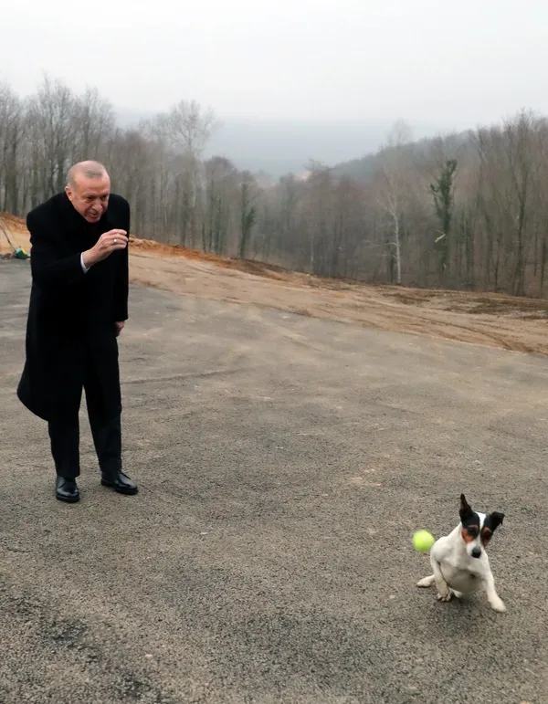 baskan-erdogan-sokak-hayvanlari-talimatini-yineledi-81-ile-barinaklar-ve-rehabilitasyon-merkezleri-kurulacak-1652359062151.jpg Başkan Erdoğan 'sokak hayvanları' talimatını yineledi! 81 ile barınaklar ve rehabilitasyon merkezleri kurulacak - 2