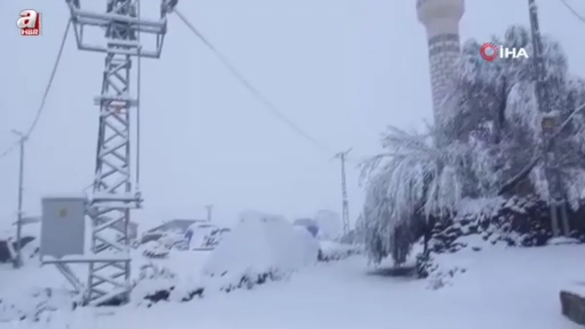 Erzurum'da Aşkale beyaza büründü