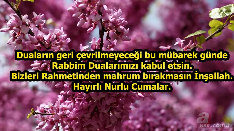 Resimli Cuma mesajları ile sevdiklerinizi hatırlayın! İşte 28 Aralık resimli Cuma mesajları! 9