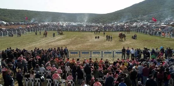 İzmir’de gerçekleşen Deve Güreşi Festivali’ne binlerce kişi akın etti
