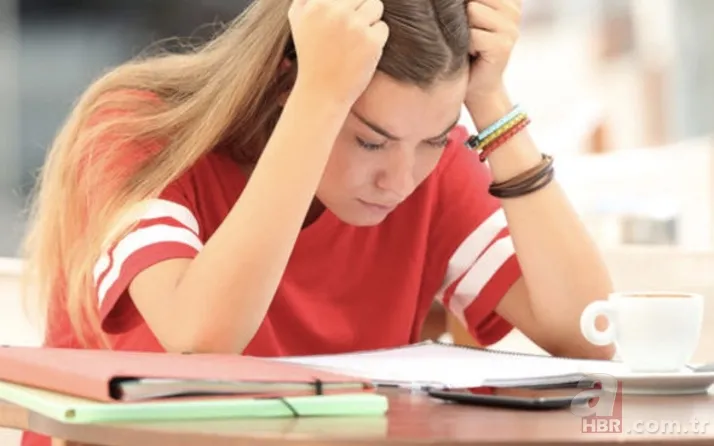 Üniversite öğrencilerine yaz işi başvuru şartları neler? İŞKUR sosyal çalışma programı başvurusu ne zaman? 5