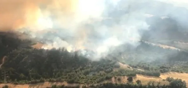 Son dakika | Adana’da korkutan orman yangın! Ekipler bölgede