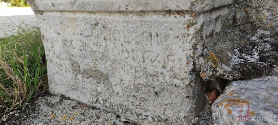 Türkiye’nin en yaşlısı o! Bin yaşındaki ağaç şifa dağıtıyor 7