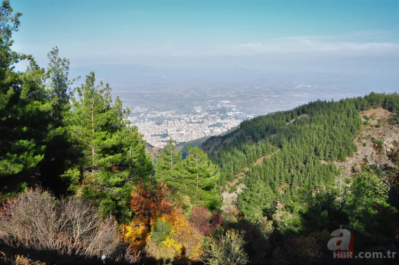 Sonbaharın renkleri Spil Dağı'nda! Orman manzarası mest etti 18