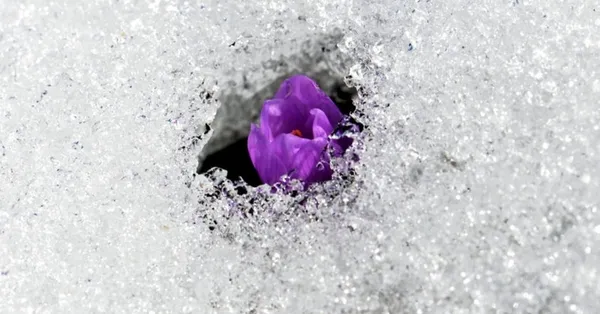 ikinci-cemre-ne-zaman-dusecek-2022de-ikinci-cemre-dustu-mu-1645867895815.jpg İkinci cemre ne zaman düşecek? 2022'de ikinci cemre düştü mü?