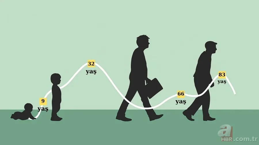 Ergenlik sandığınızdan daha uzun! Bilim insanları açıkladı: İnsan beyni 5 evreden geçiyor 4