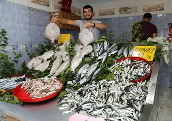 Ordu'da balıkçı tezgahları dolmaya başladı