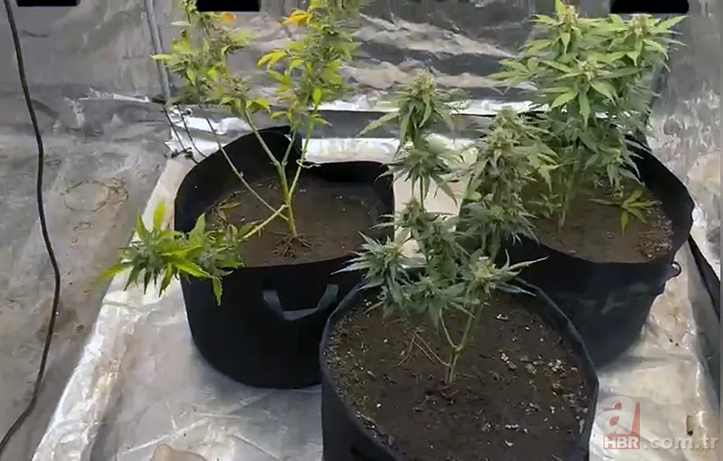 Yatak odasını seraya çevirdi! İfadesi pes dedirtti 5