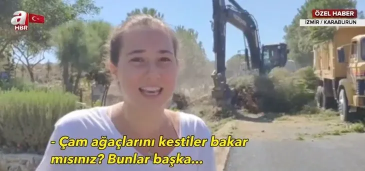 CHP’li belediyeden İzmir Karaburun’da ağlatan doğa katliamı! Genç kız gözyaşları içinde izledi