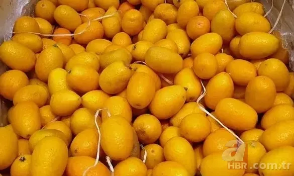 Ne mandalina ne portakal! Kabuğuyla yenen "küçük mücevher" resmen şifa bombası: Kansere dahi iyi geliyor 1