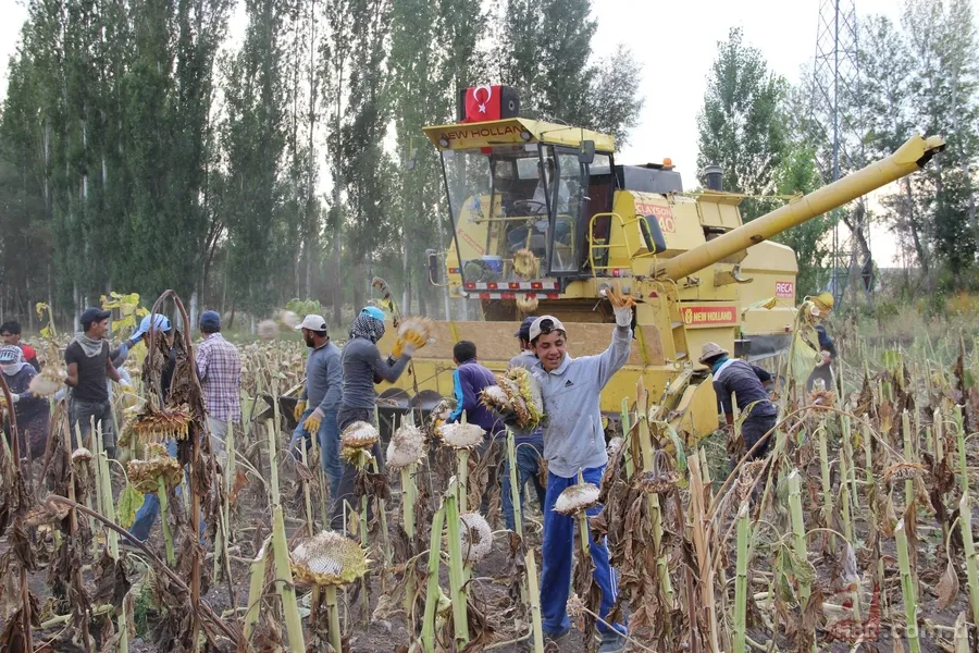 'Soğukta yapamazsın' dediler, şimdi paraya para demiyor 4