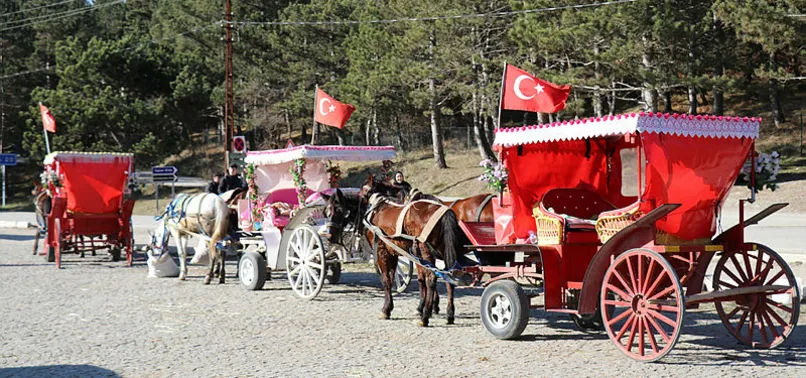 'Ruam' hastalığı otel rezervasyonlarını iptal ettirdi