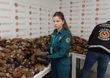 Moskova'dan gelen iki yolcunun bagajından çıktı: Tam 10 bin 300 adet