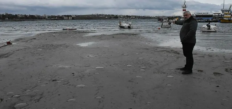Son Dakika Deprem Mi Oldu Istanbul Da Hissedilen Depremin Ardindan Marmara Ereglisi Nde Bir Deprem Daha Son Dakika Haberler Milliyet