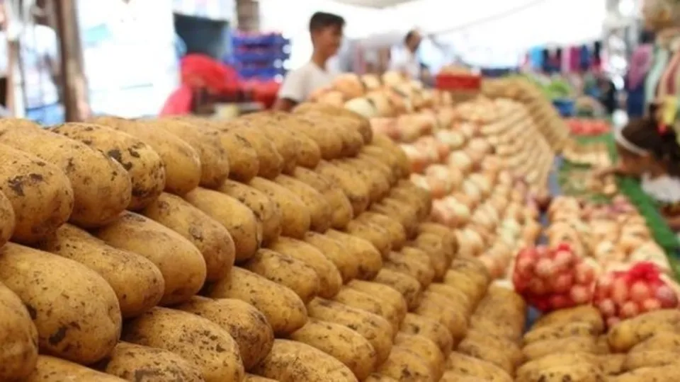 Patates ve soğan fiyatları düşüyor
