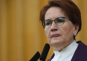 Türkiye'nin NATO'daki siyasi zaferi PKK'lı vekil Kakabaveh gibi Meral Akşener'i de rahatsız etti!