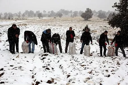 Kar yolları kapattı! Elektrikler kesildi, su şebekeleri dondu, okullar tatil - 17
