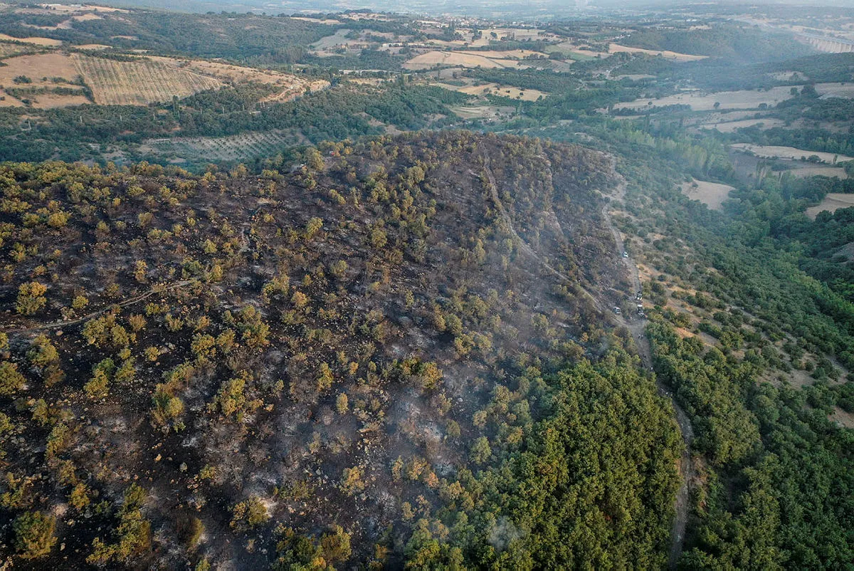 Balıkesir'deki yangında sabotaj şüphesi! Beyaz transit ve sakallı şahıs ormanda görüldü