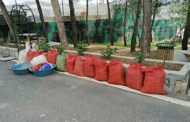 Siirt'te kaçak salep soğanı toplayan kişiye 73 bin 747 lira ceza - 1