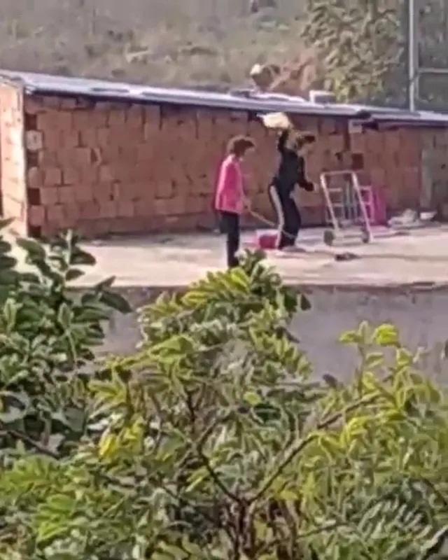 Son dakika: Kocaeli'de kan donduran işkence görüntüleri: Kediyi iple çatıdan sarkıtıp süpürge ile vurdular - 4